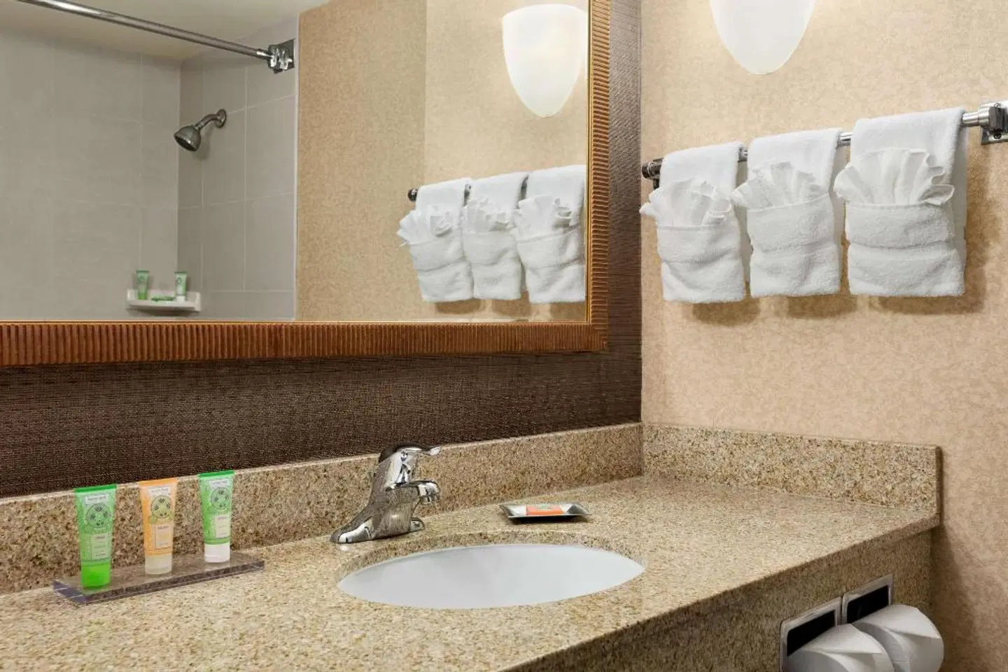 Wyndham Garden at Niagara Falls Badezimmer