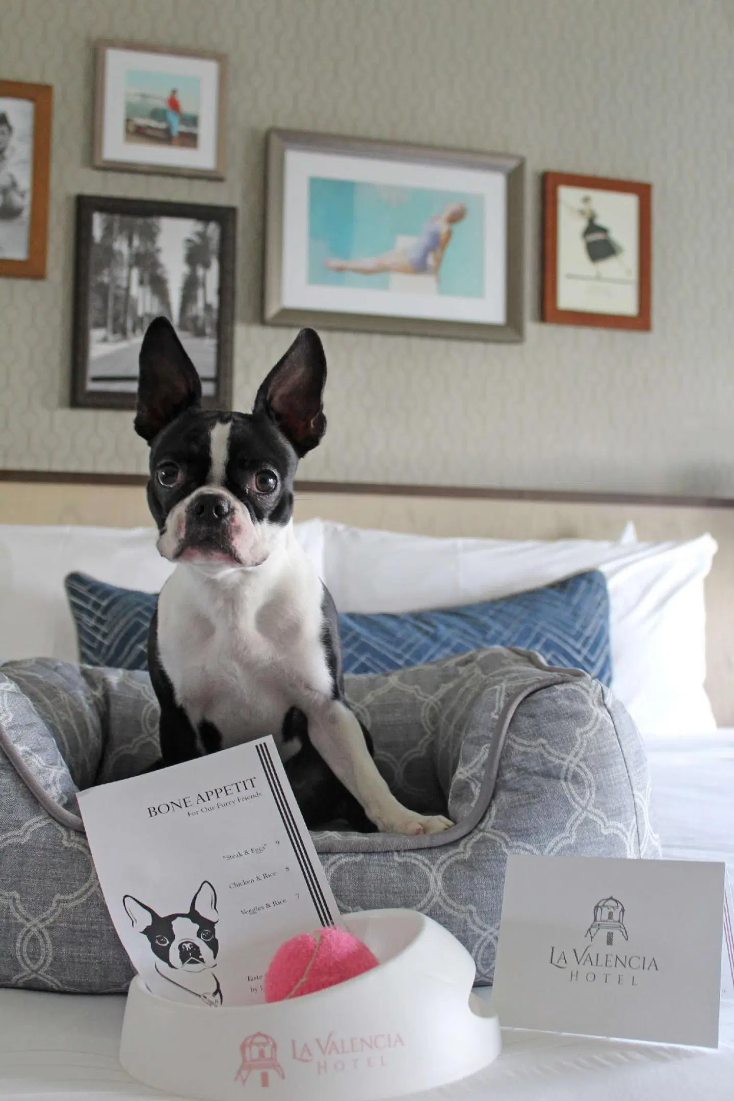 La Valencia Hotel ROOM_EXAMPLE