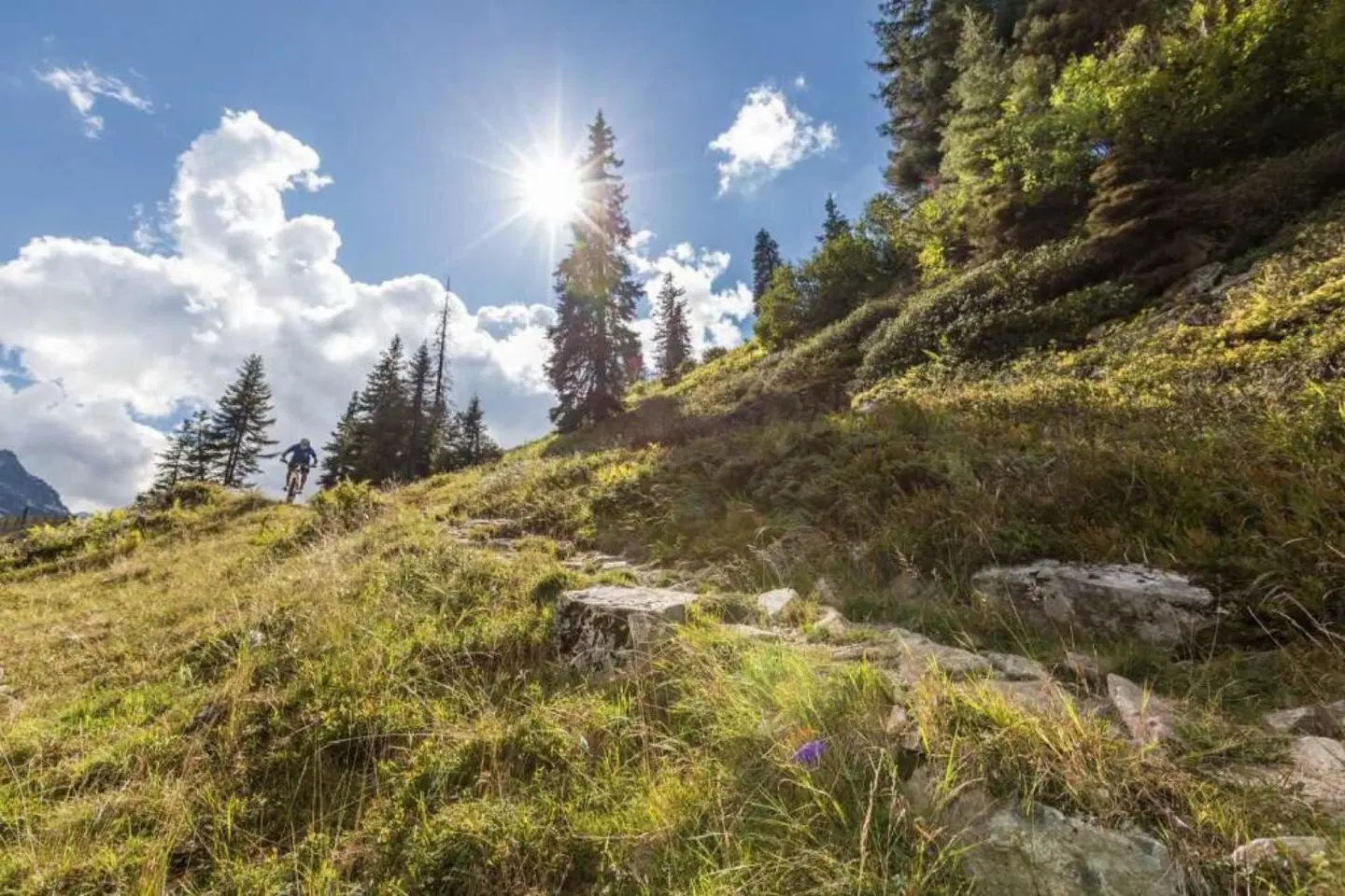 Alpenhotel Garfrescha LANDSCAPE