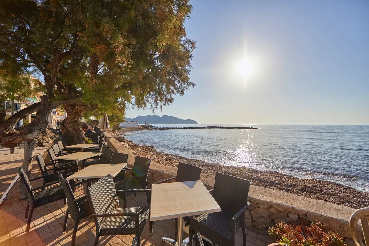 Ilusion Moreyo Terrasse