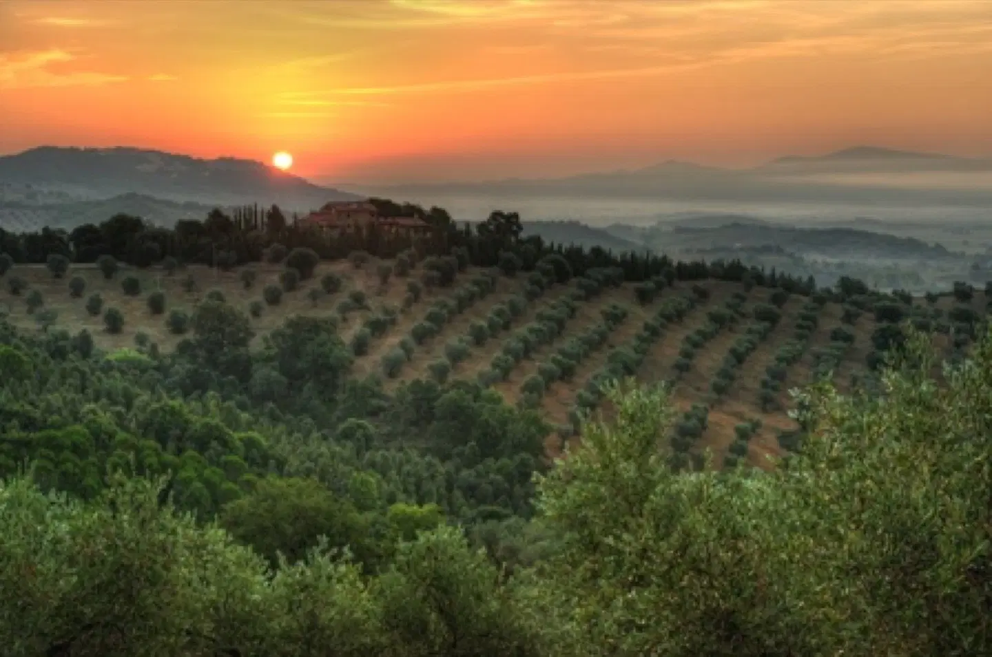 Montebelli Country Resort LANDSCAPE