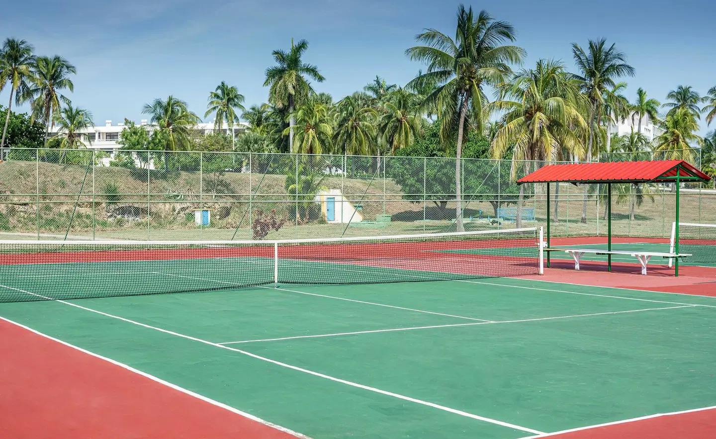 Sol Palmeras SPORTS_AND_LEISURE