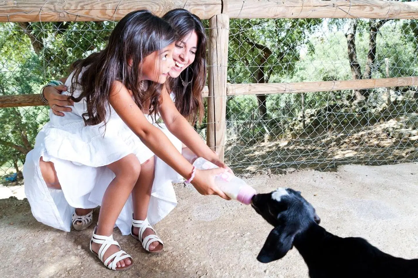 Fuerte Grazalema Tiere