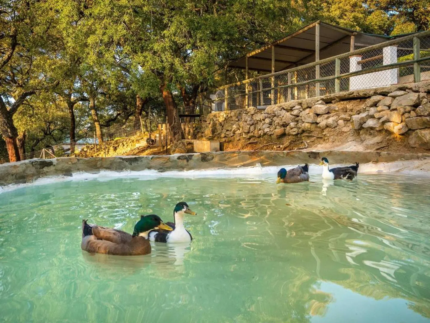Fuerte Grazalema Tiere