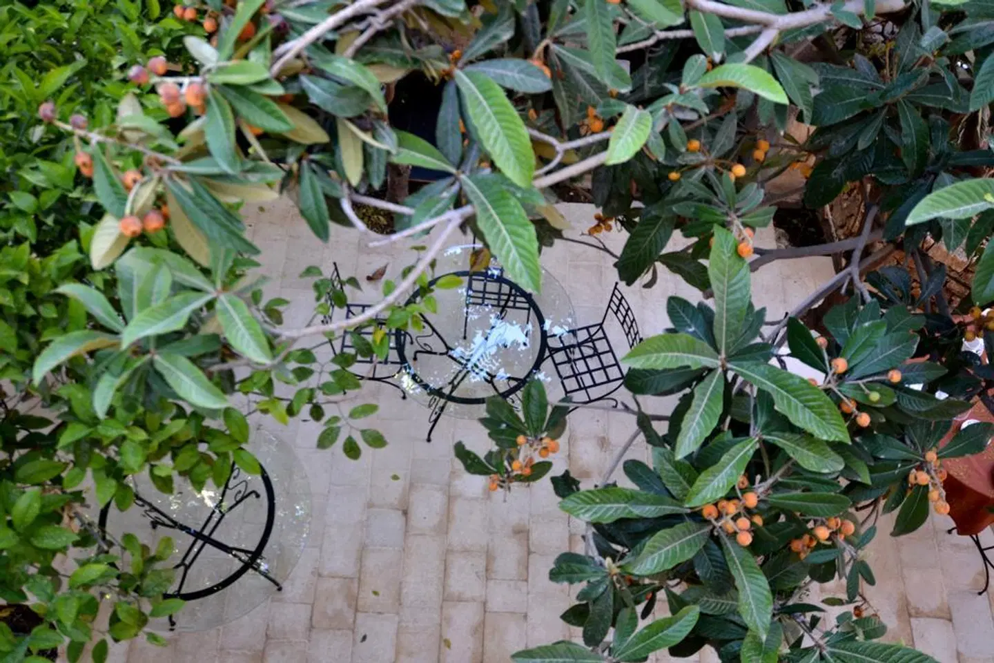 Gagliardi Boutique Hotel Tiere