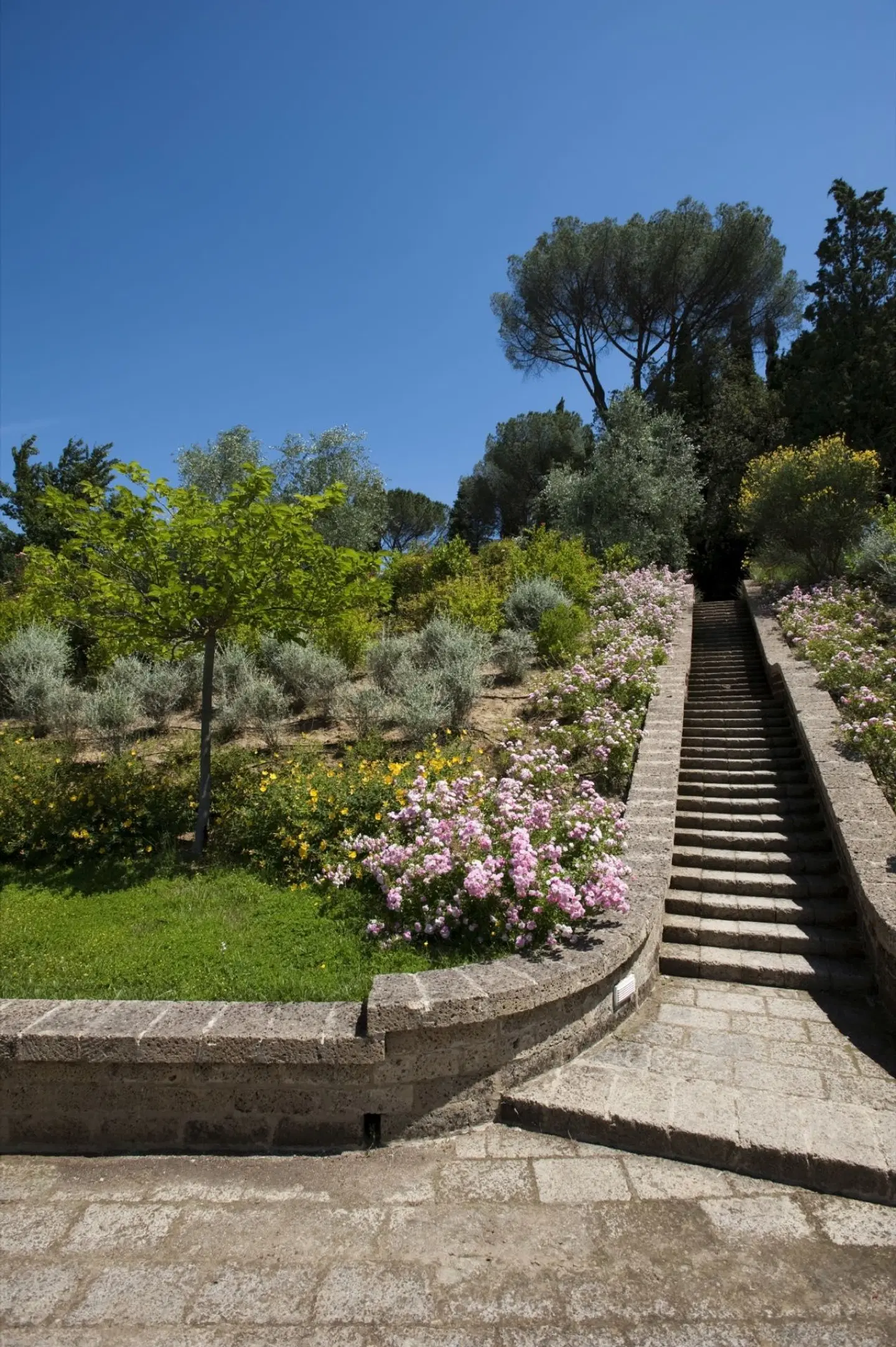 Villa il Patriarca Garten