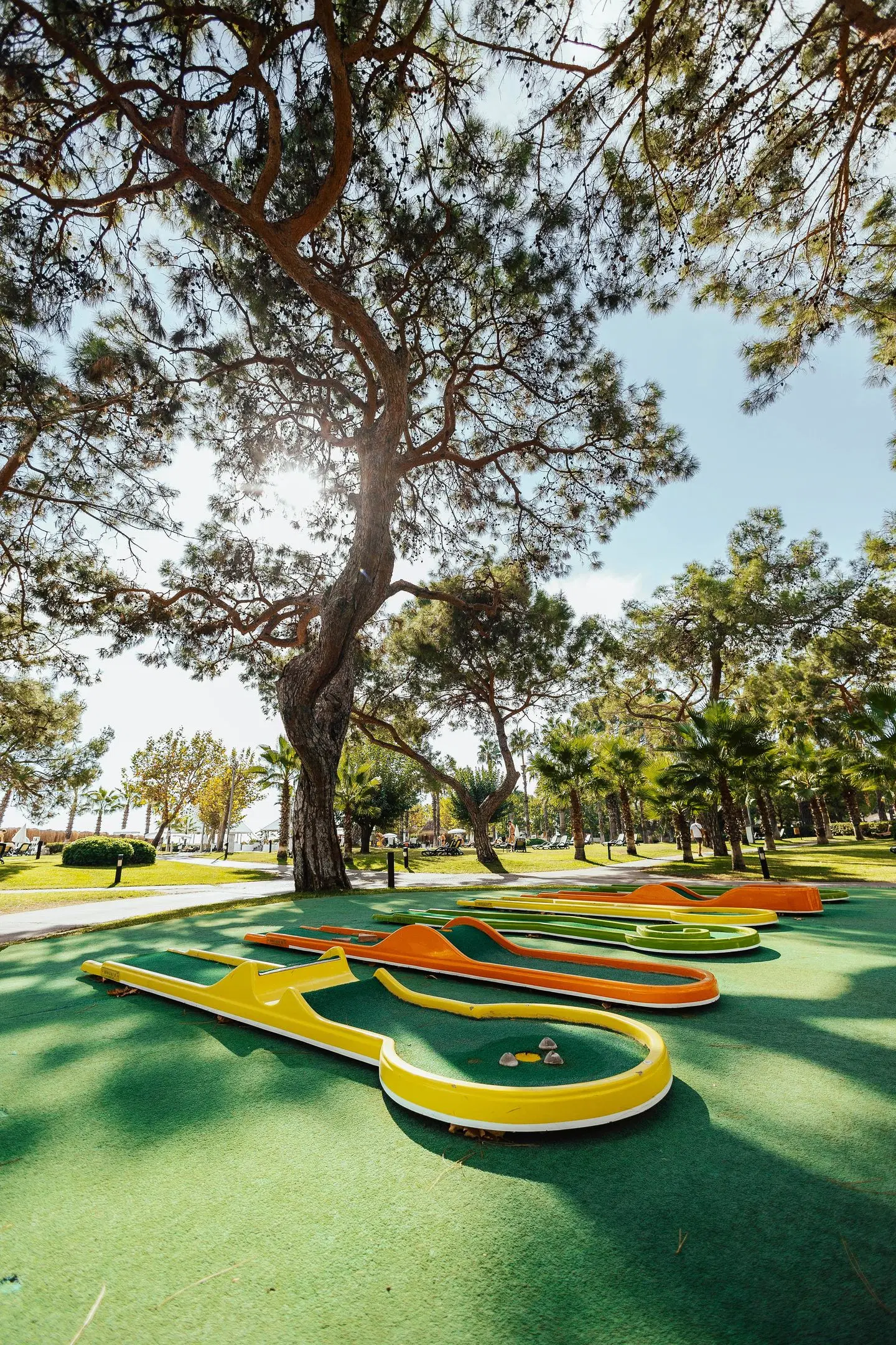 Balmy Foresta SPORTS_AND_LEISURE