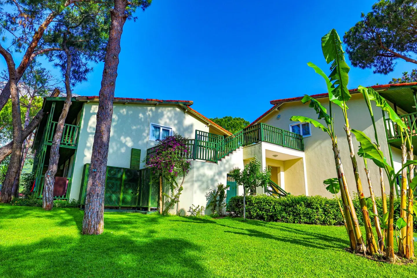 Crystal Flora Pearl Collection EXTERIOR