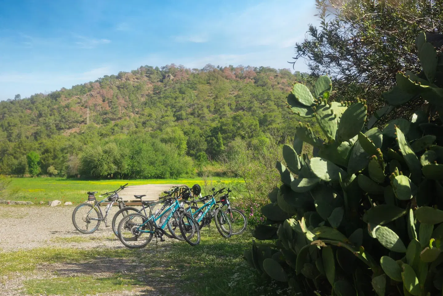 Nirvana Dolce Vita SPORTS_AND_LEISURE