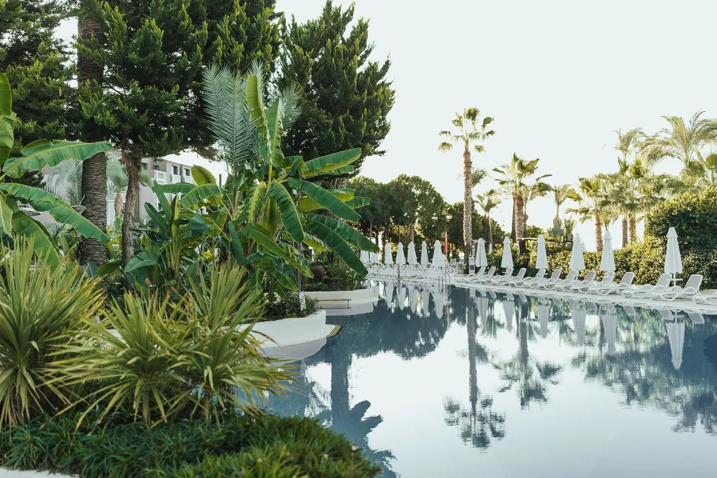 Paloma Perissia OUTDOOR_POOL