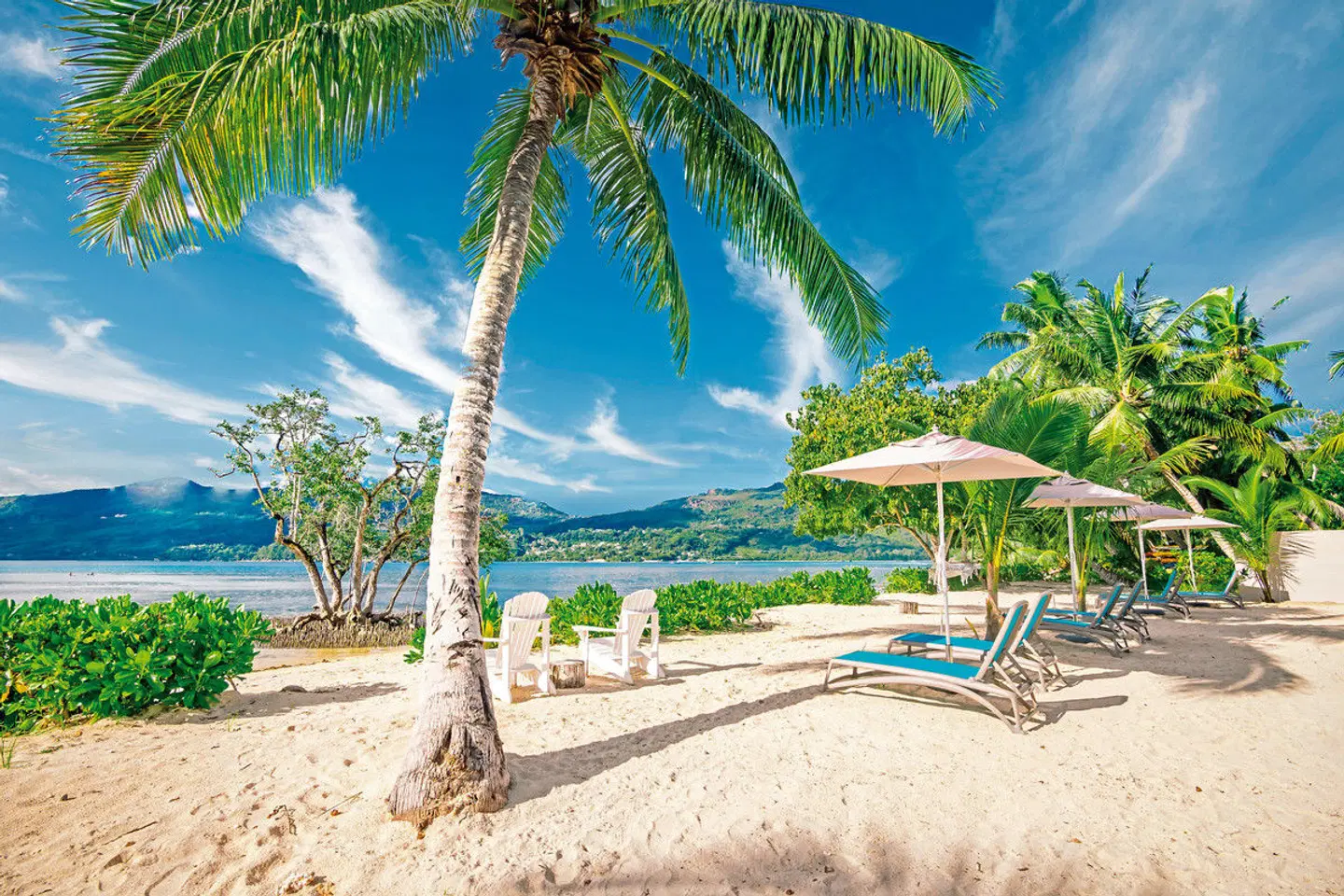 Pineapple Beach Villas Garten