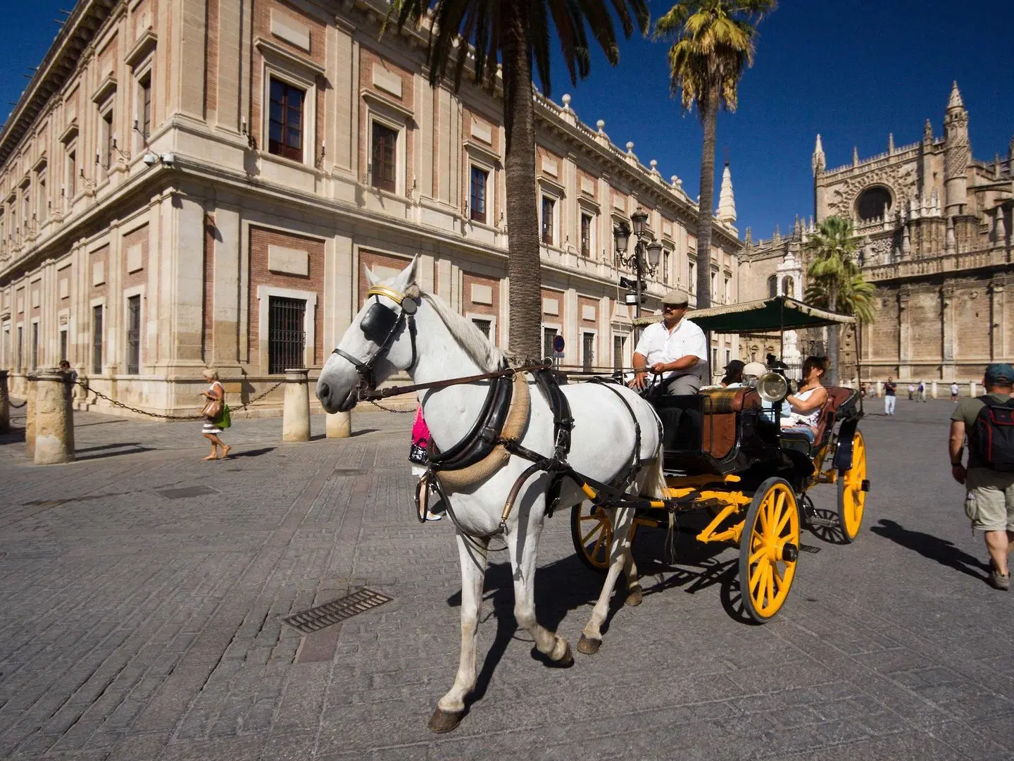 Novotel Sevilla Hotel SPORTS_AND_LEISURE