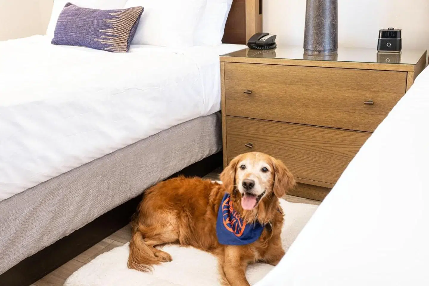 Sky Rock Inn of Sedona Tiere