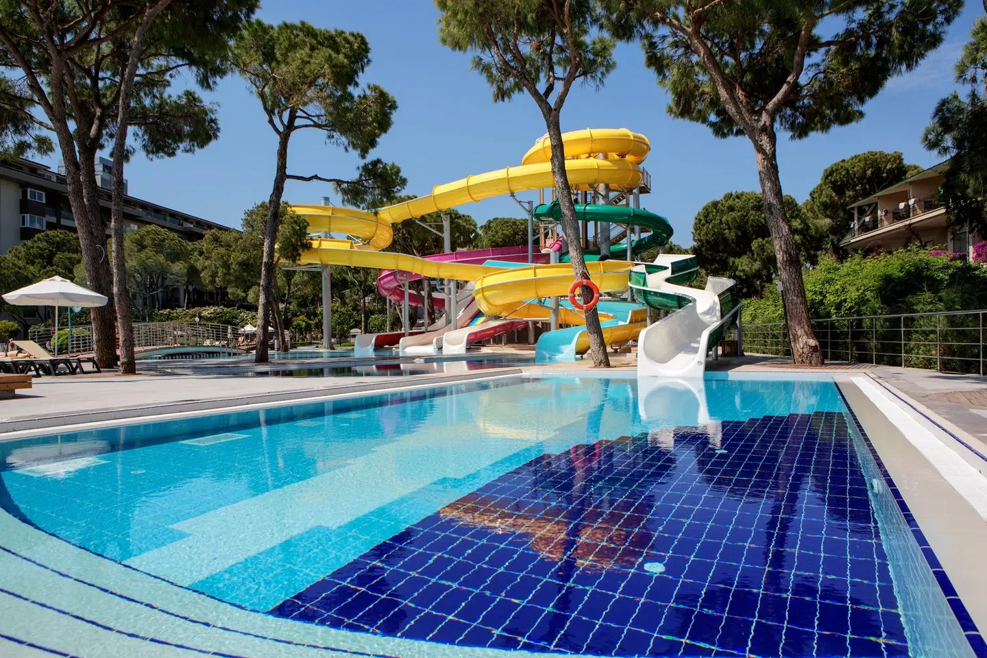 Papillon Ayscha OUTDOOR_POOL