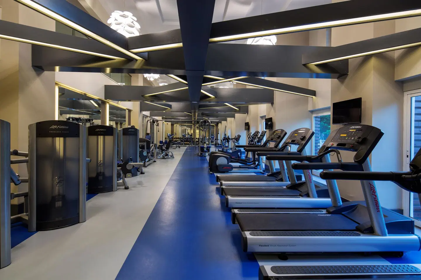 Papillon Ayscha SPORTS_AND_LEISURE