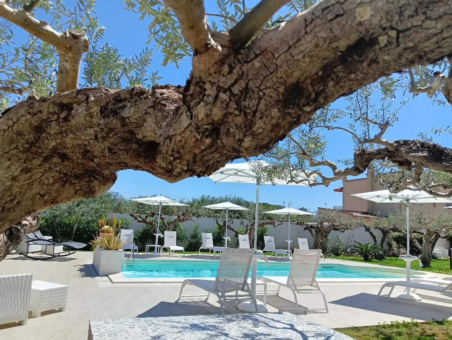 Case Vacanze Signorino OUTDOOR_POOL