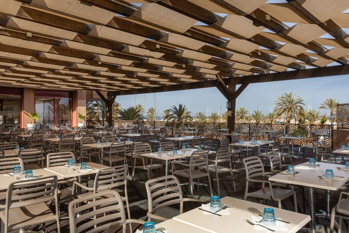 Las Palmeras affiliated by FERGUS Terrasse