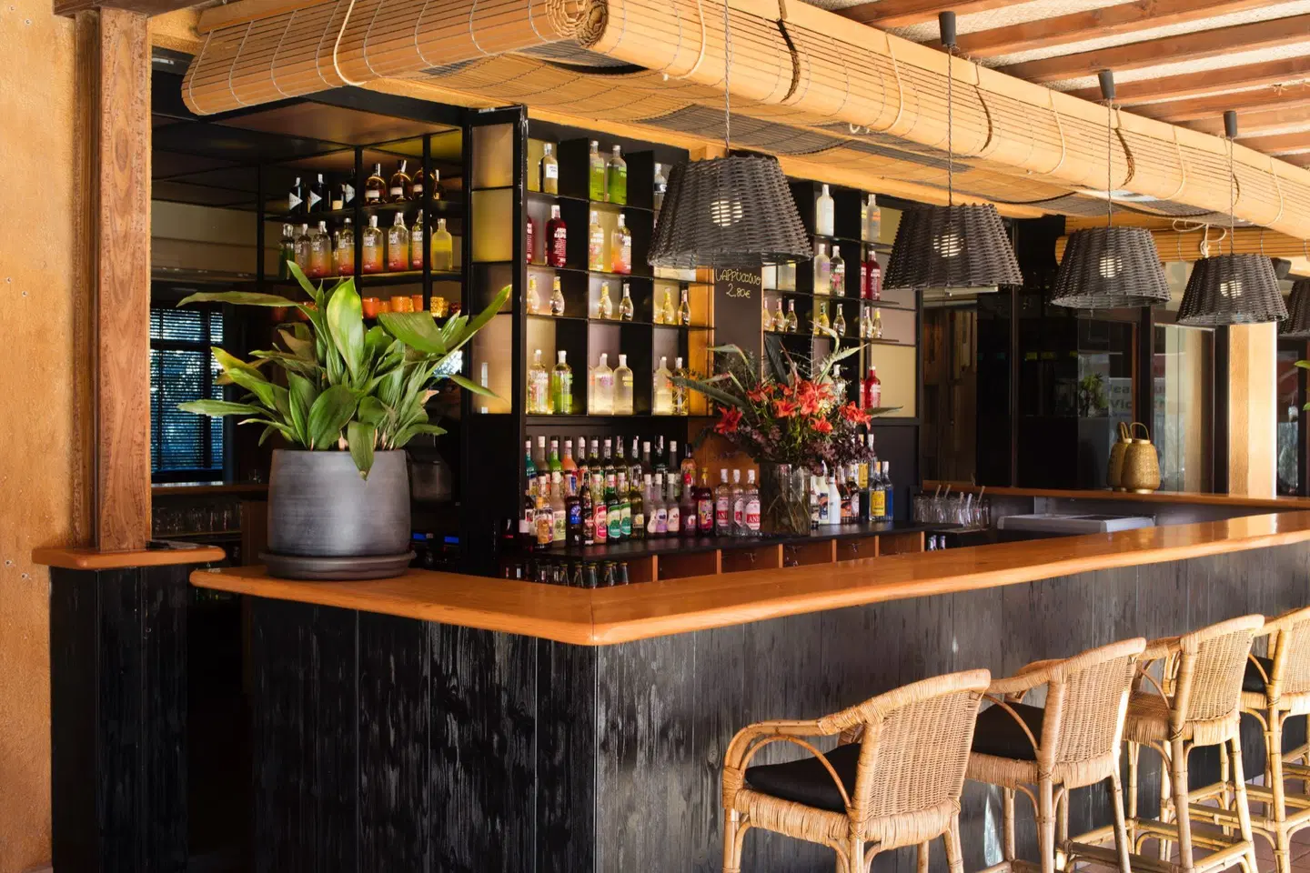 Luna Park Yoga & Spa Bar