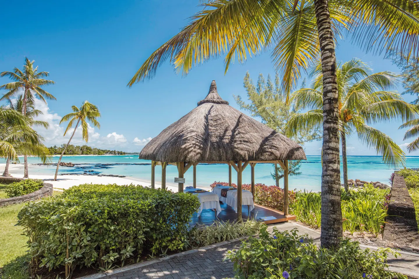 Ambre Mauritius ANIMAL