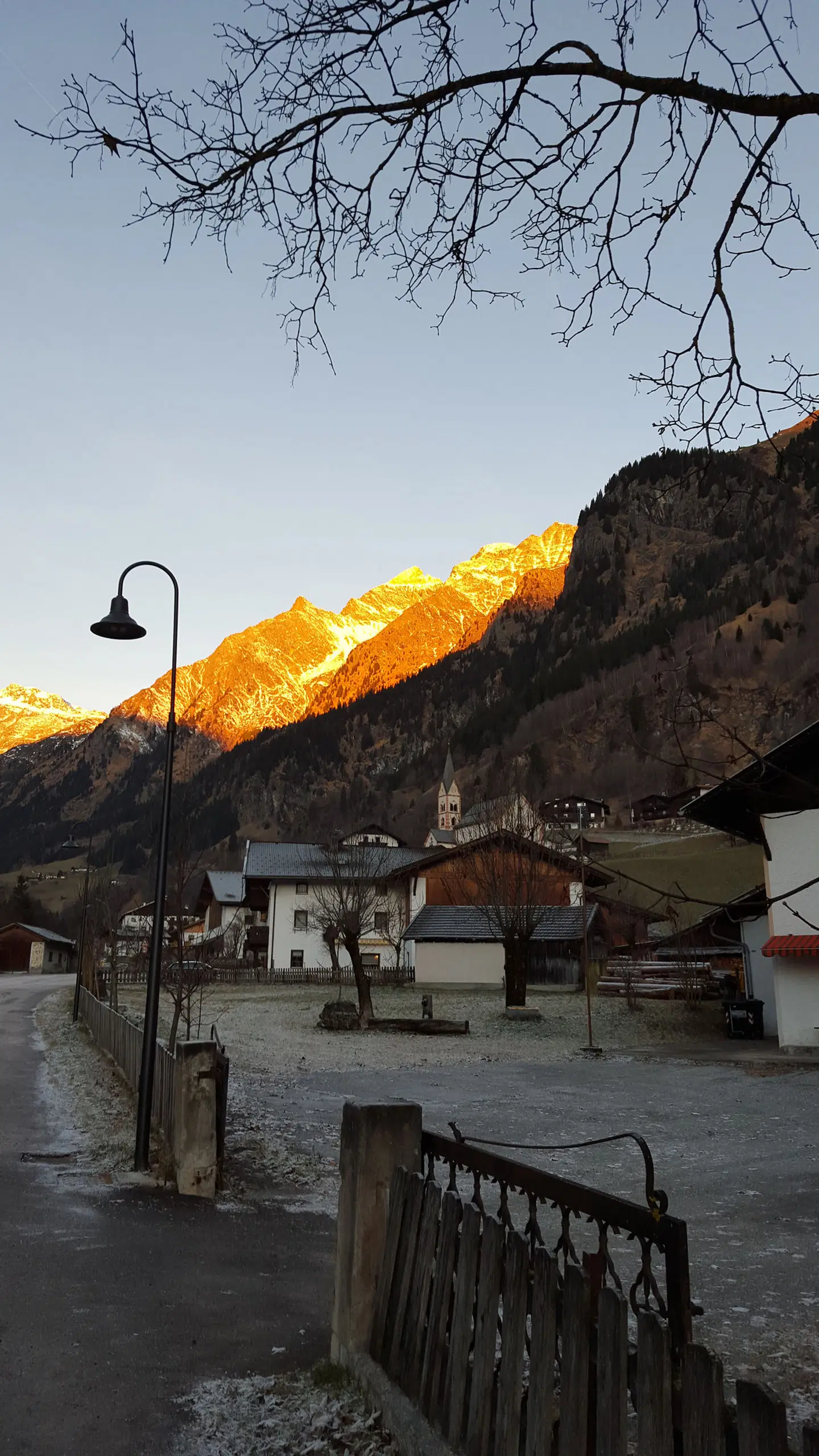 Hotel Argentum Tiere