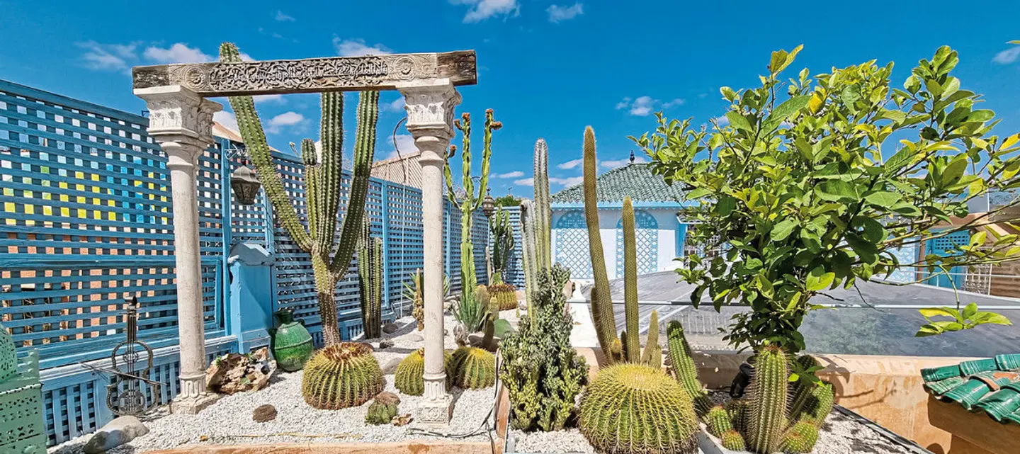Riad Armelle Terrasse