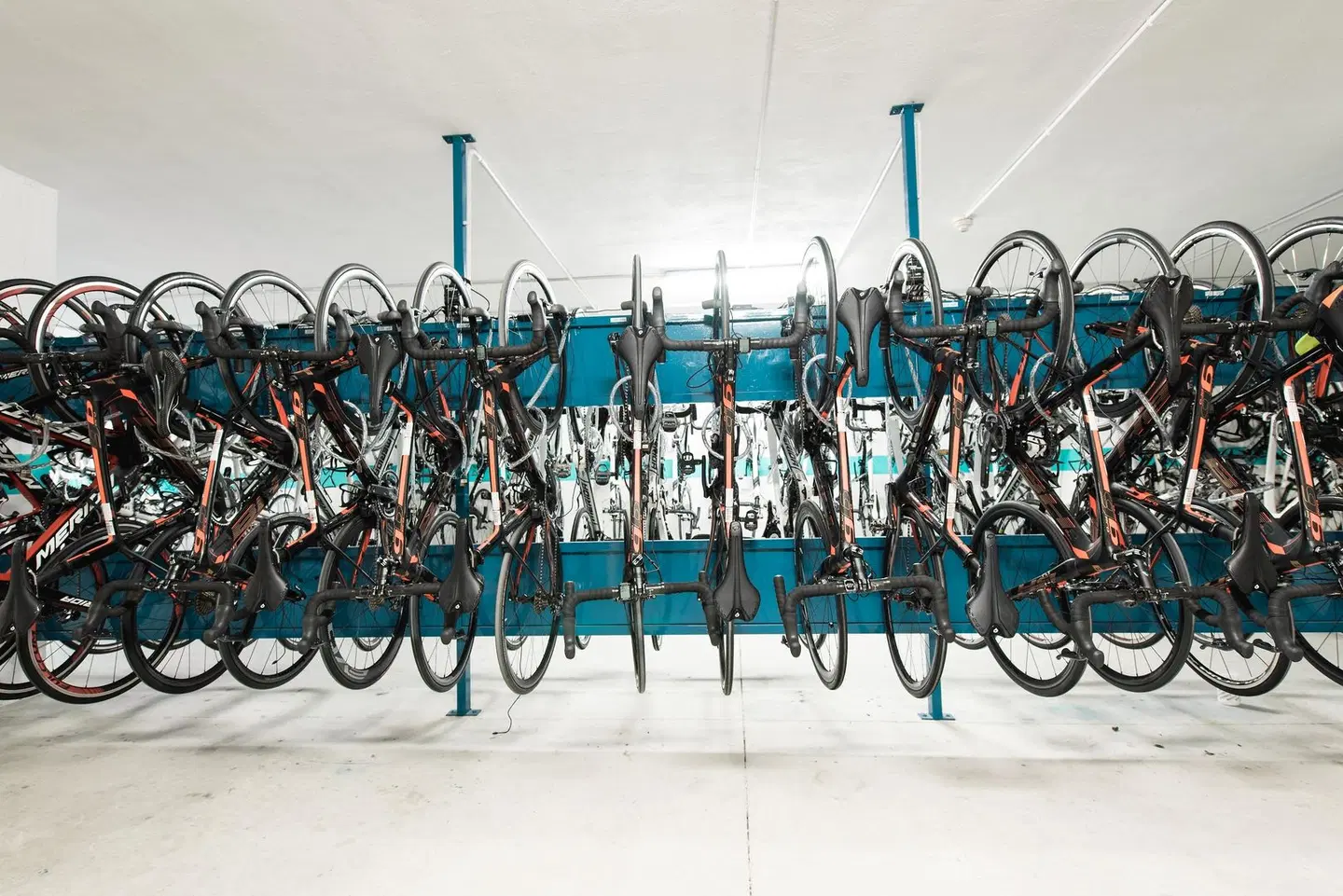 Sentido Fido Punta del Mar SPORTS_AND_LEISURE