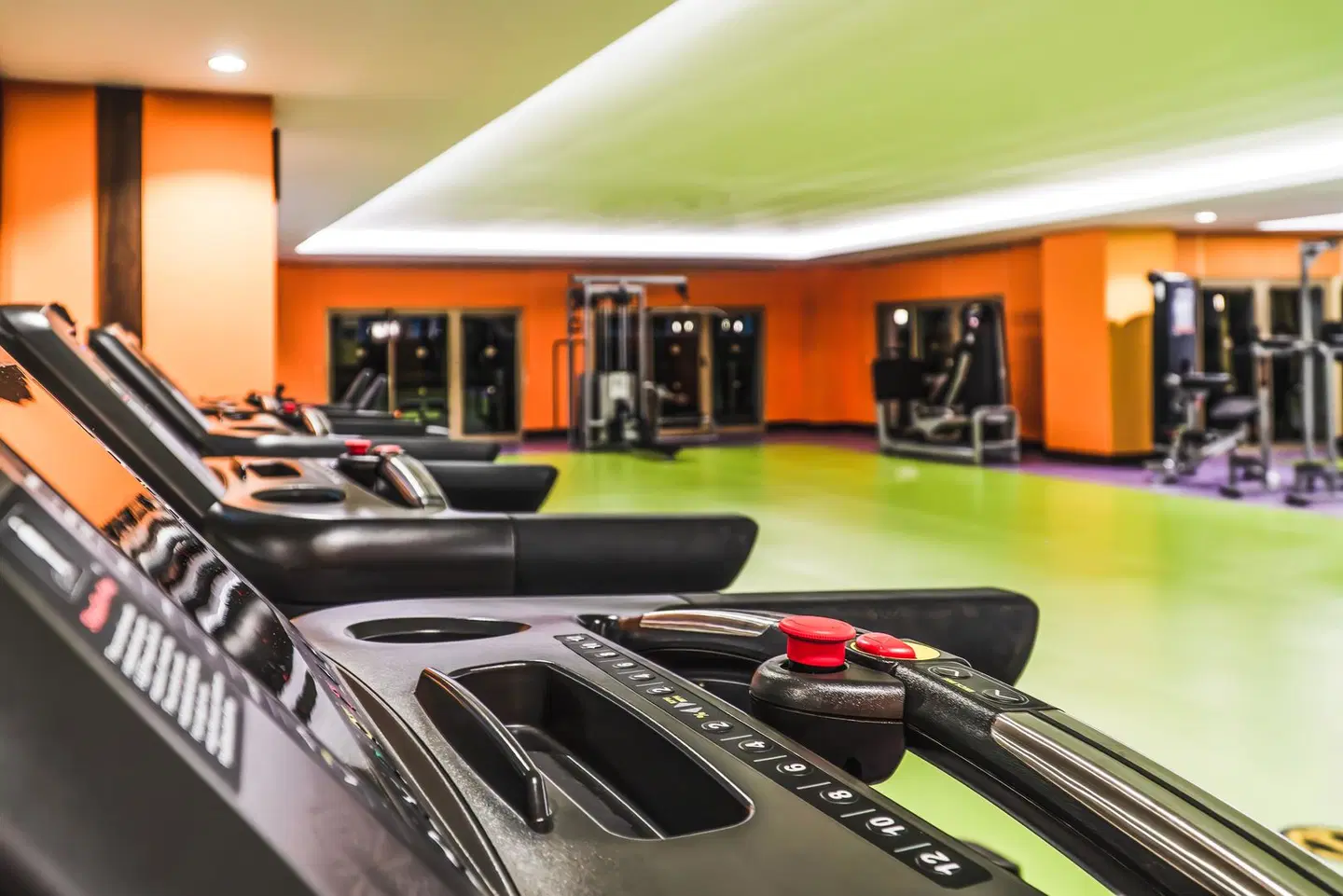 Royal Taj Mahal SPORTS_AND_LEISURE