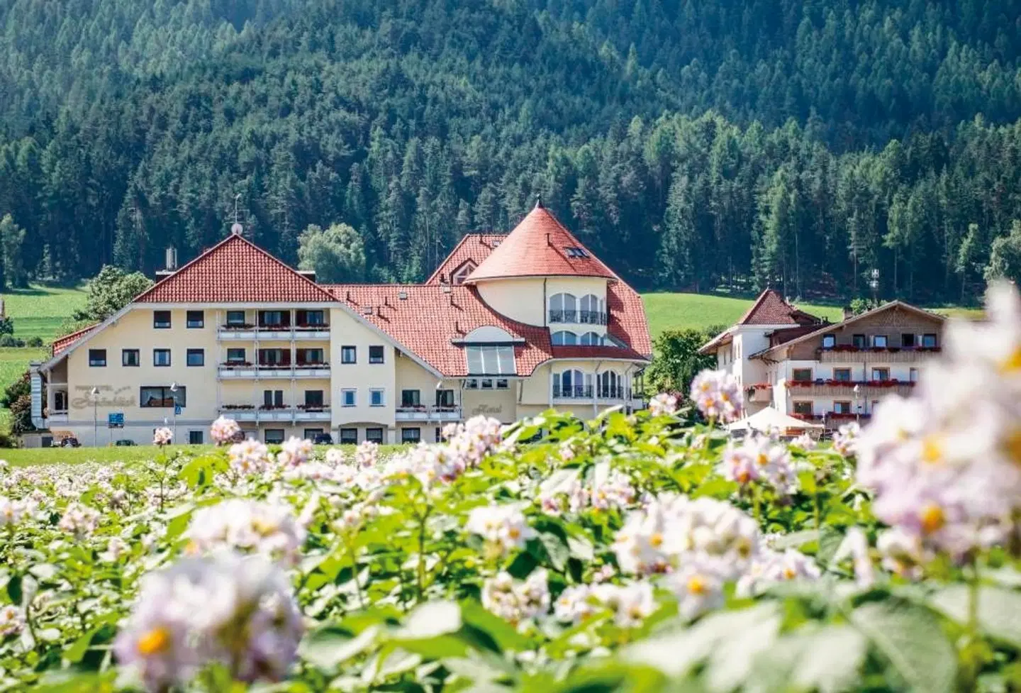 Montis Active Nature Resort EXTERIOR