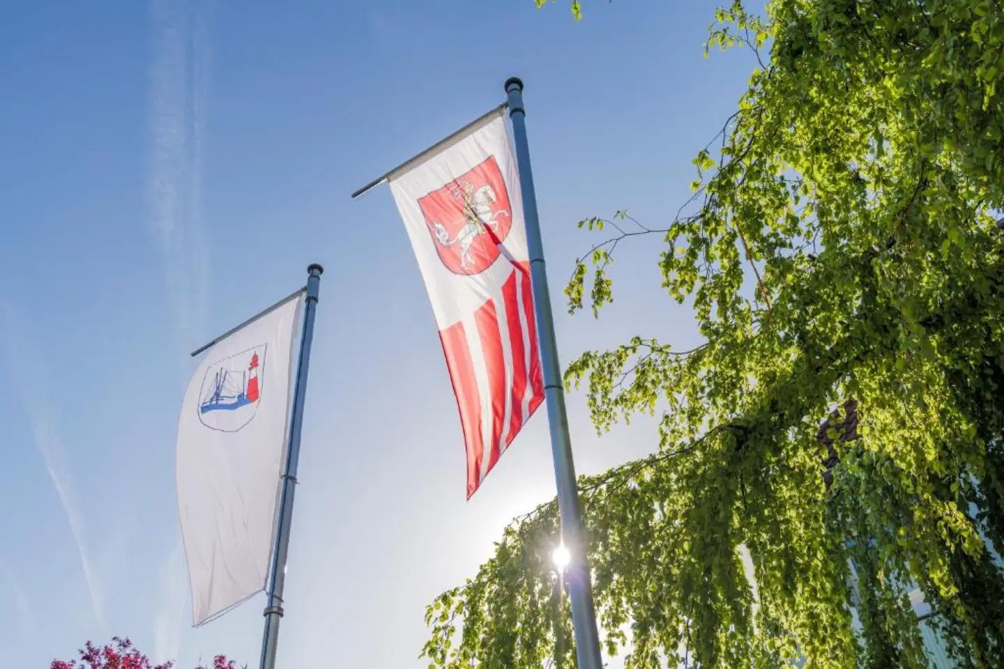 Hotel Morgensonne SPORTS_AND_LEISURE