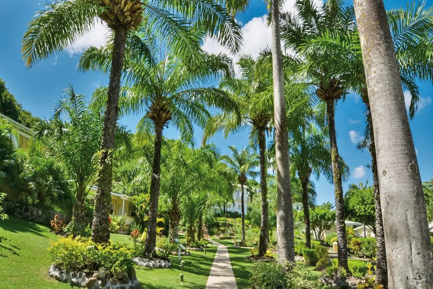 Blue Horizons Garden Resort Garten