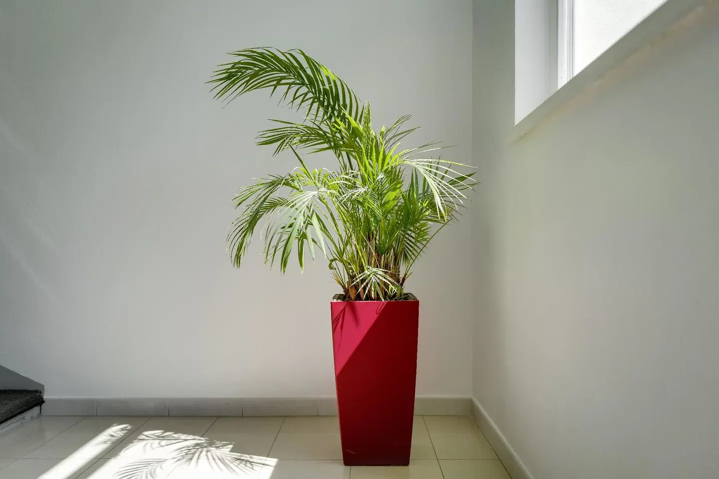 Royal Court Hotel ROOM_EXAMPLE