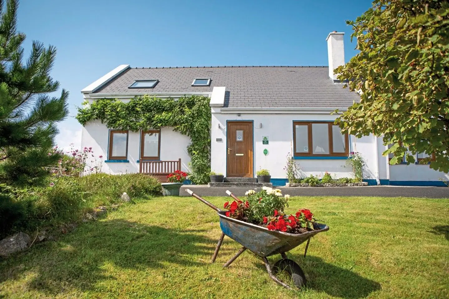 Bed & Breakfast - Nordirland Garten