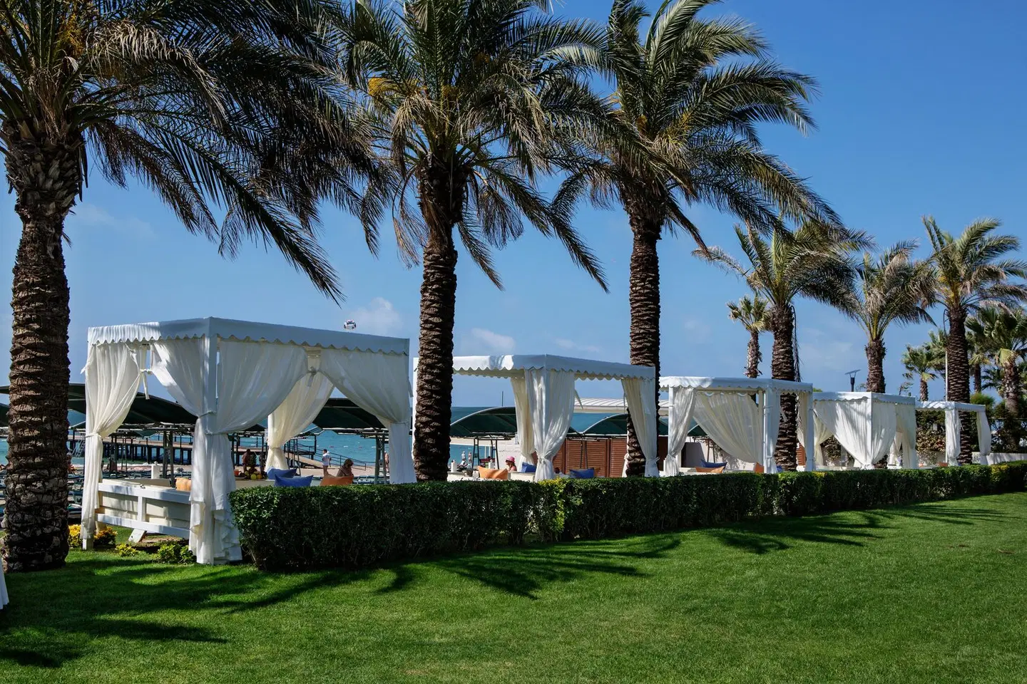 Papillon Ayscha EXTERIOR