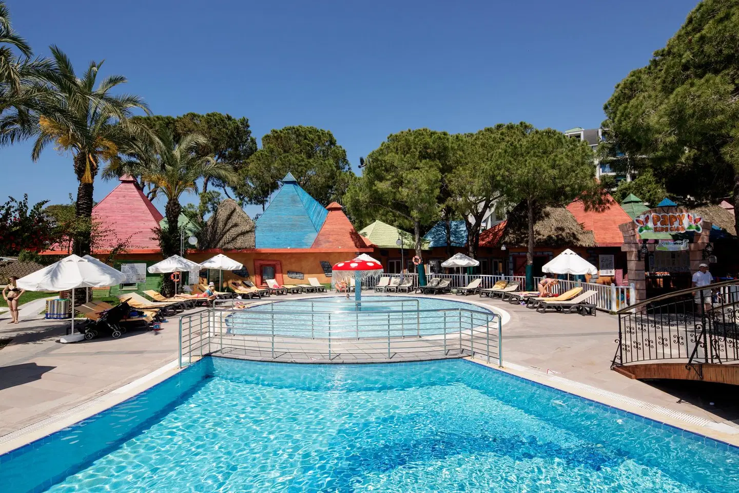 Papillon Ayscha OUTDOOR_POOL