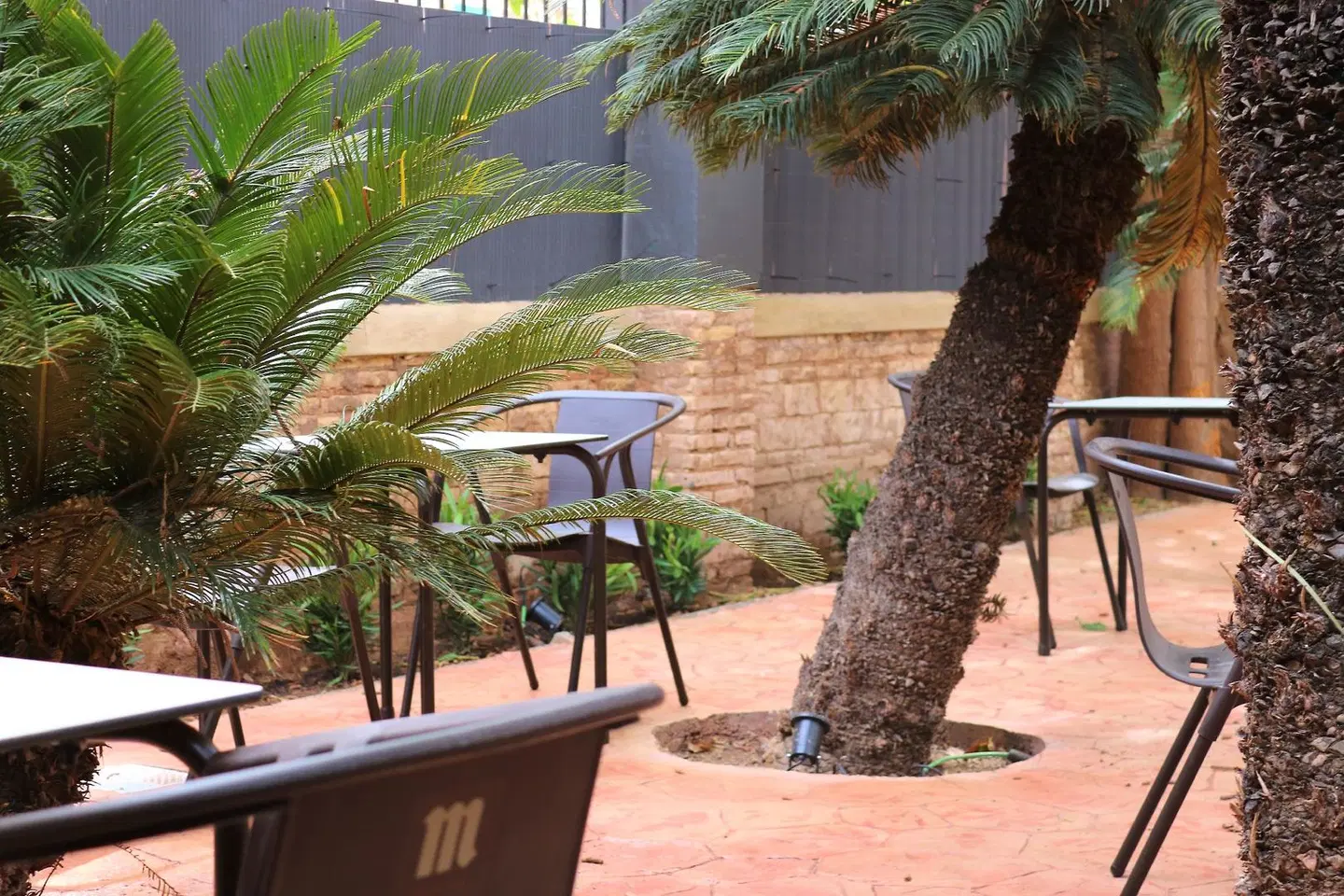 The Venue Hostel Terrasse