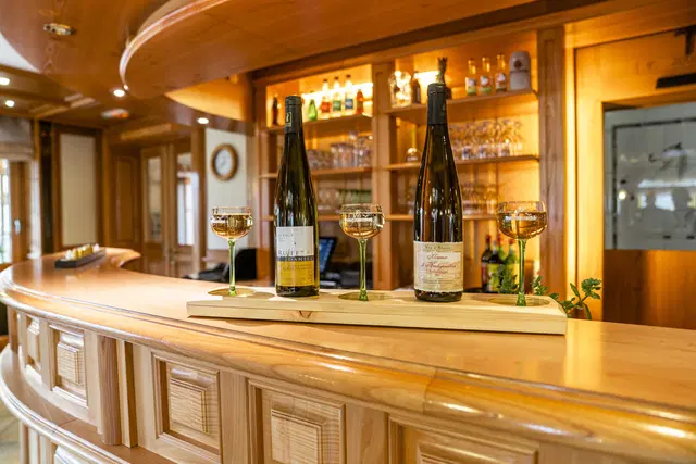 Best Western Plus Au Cheval Blanc Mulhouse Nord Bar