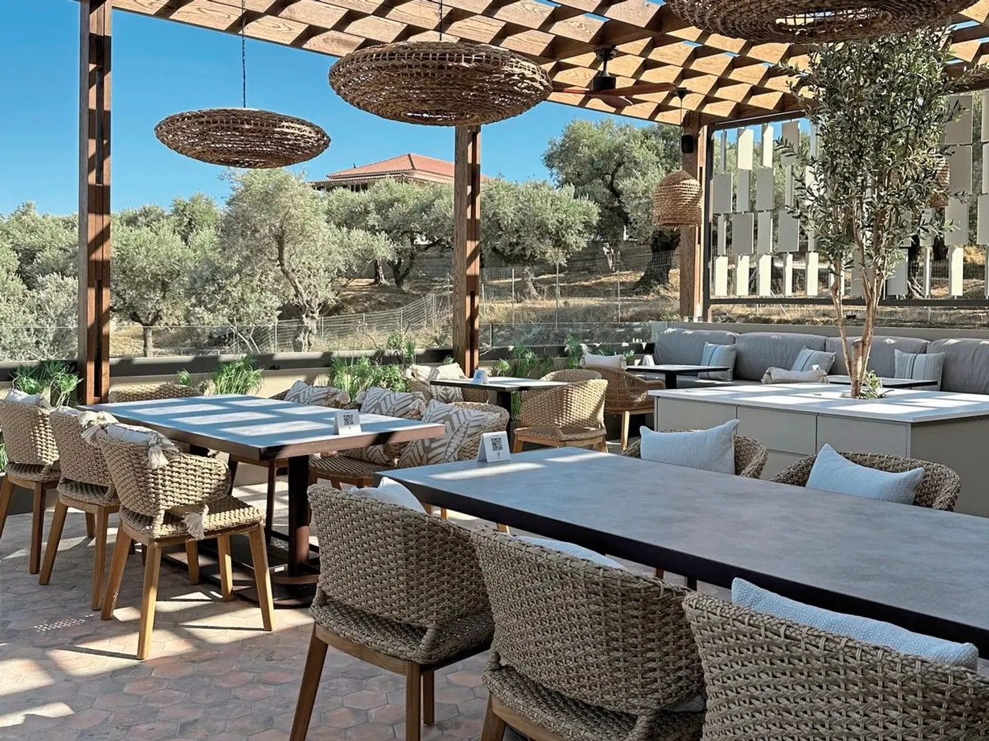 King Jason Zante TERRACE