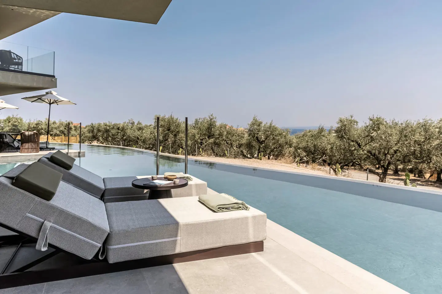 King Jason Zante TERRACE