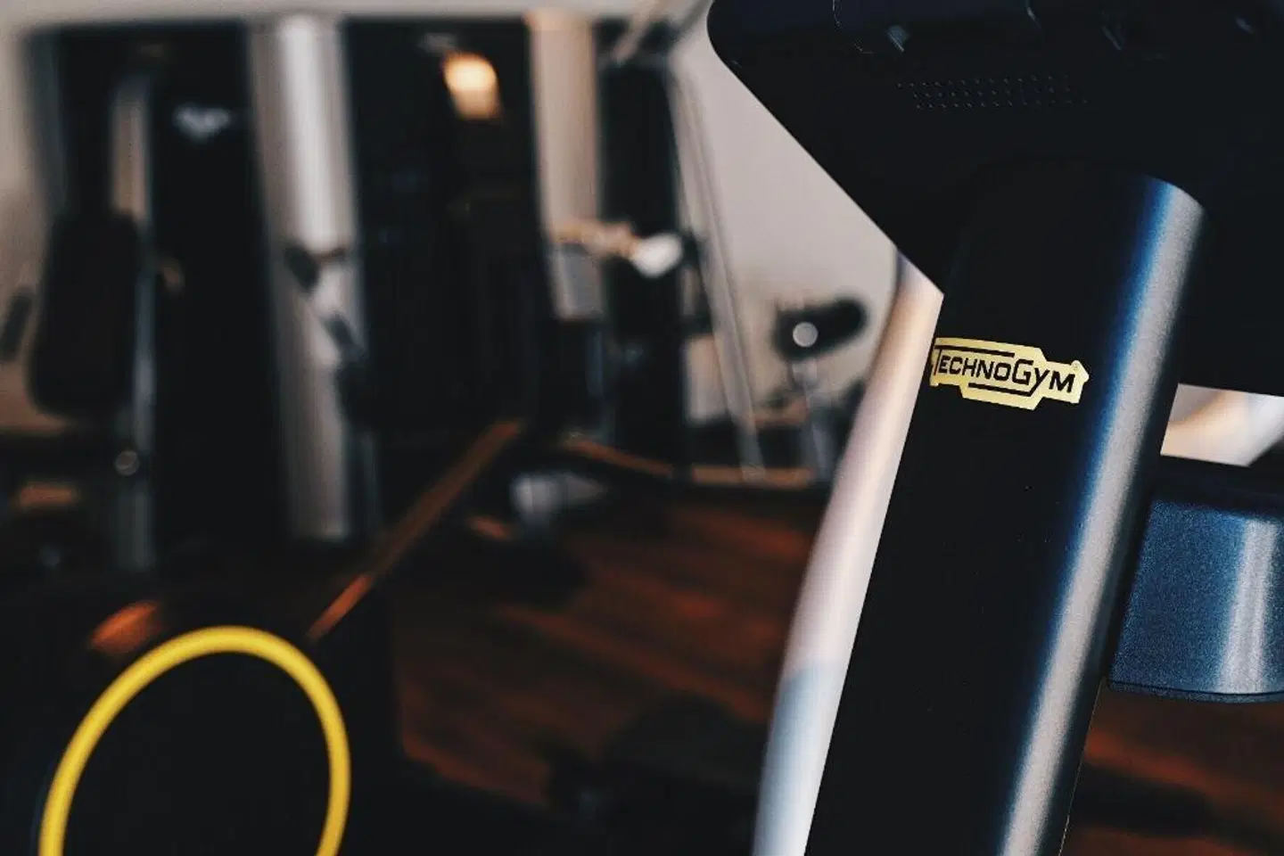 Fritz Lauterbad Tiere