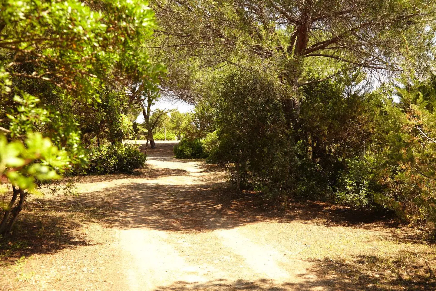 Cala Mirto LANDSCAPE