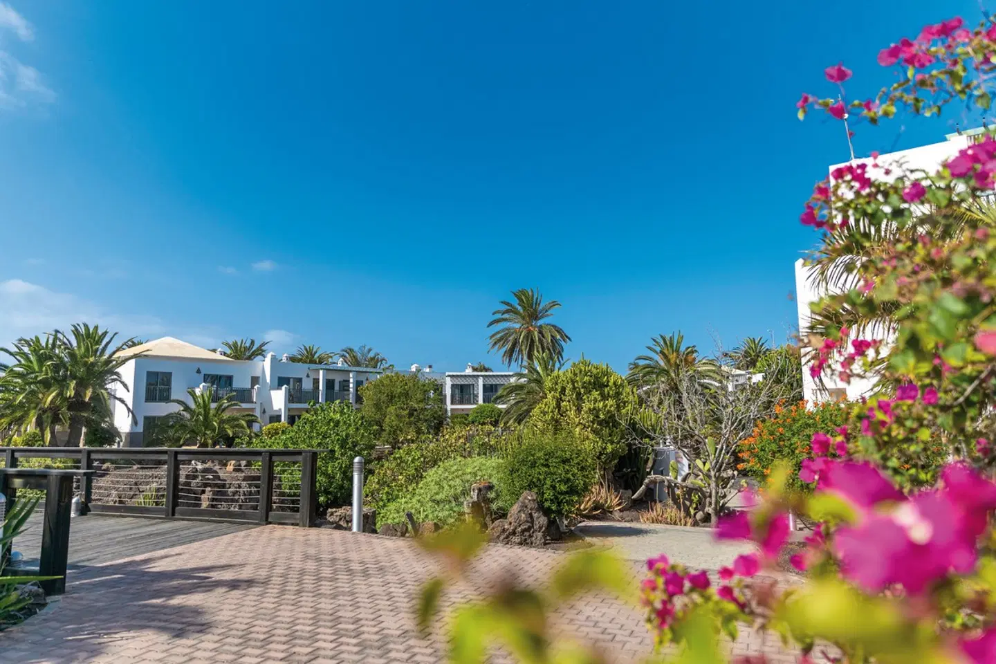 Las Marismas de Corralejo LANDSCAPE