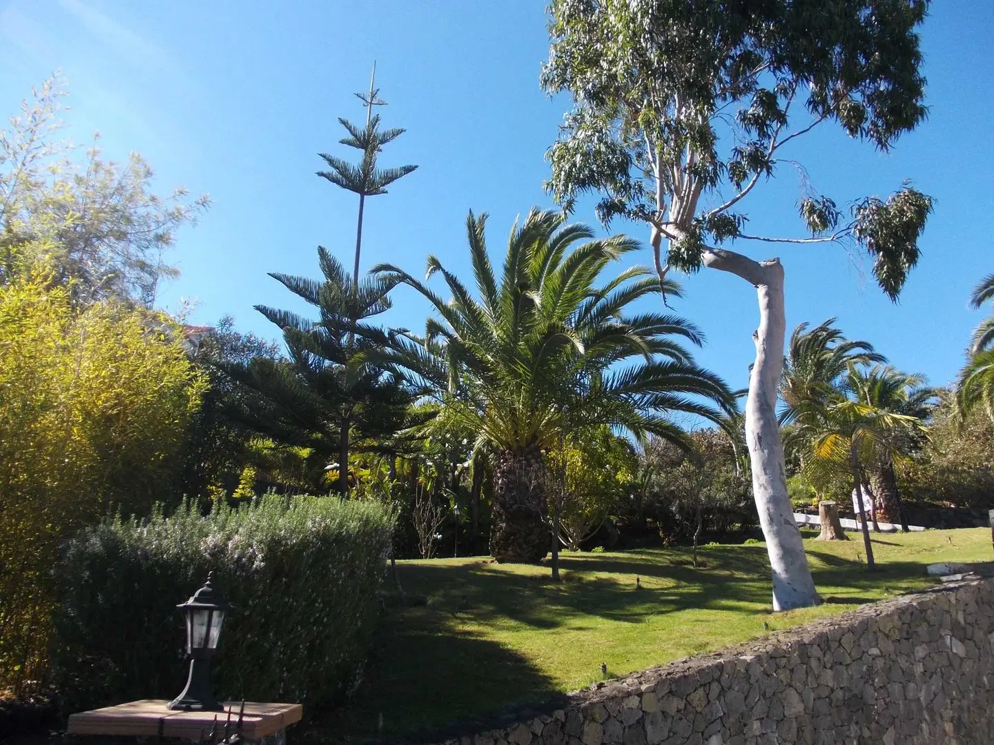 La Palma Romantica GARDEN