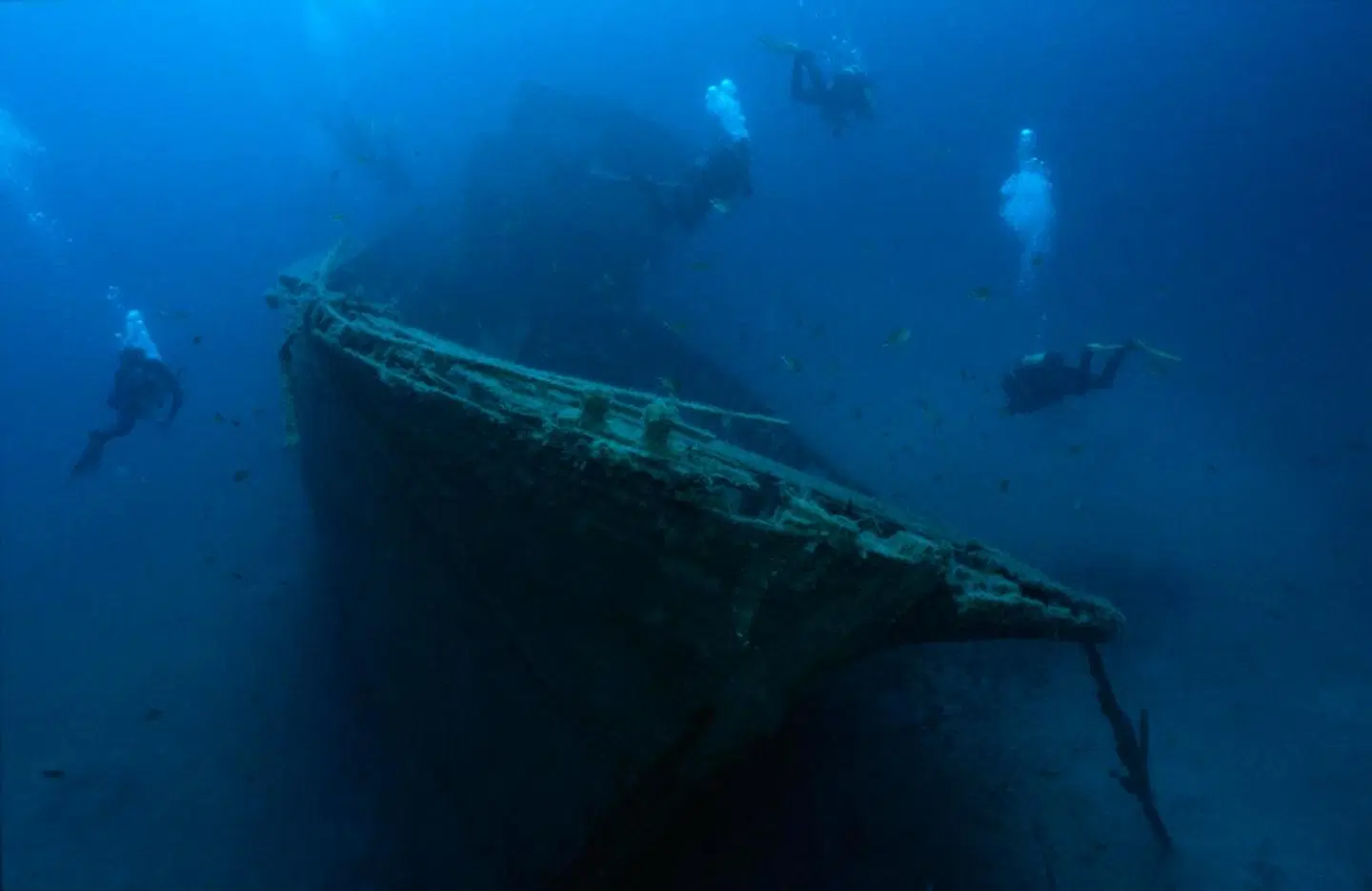 Apartamentos Arena Dorada Tiere