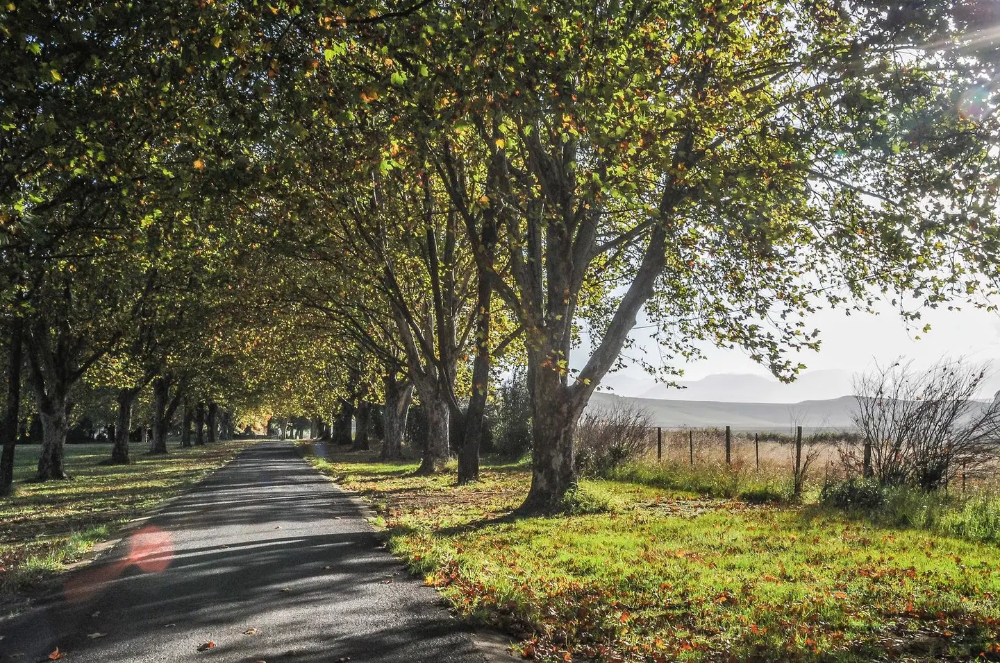 Moorcroft Manor Garten