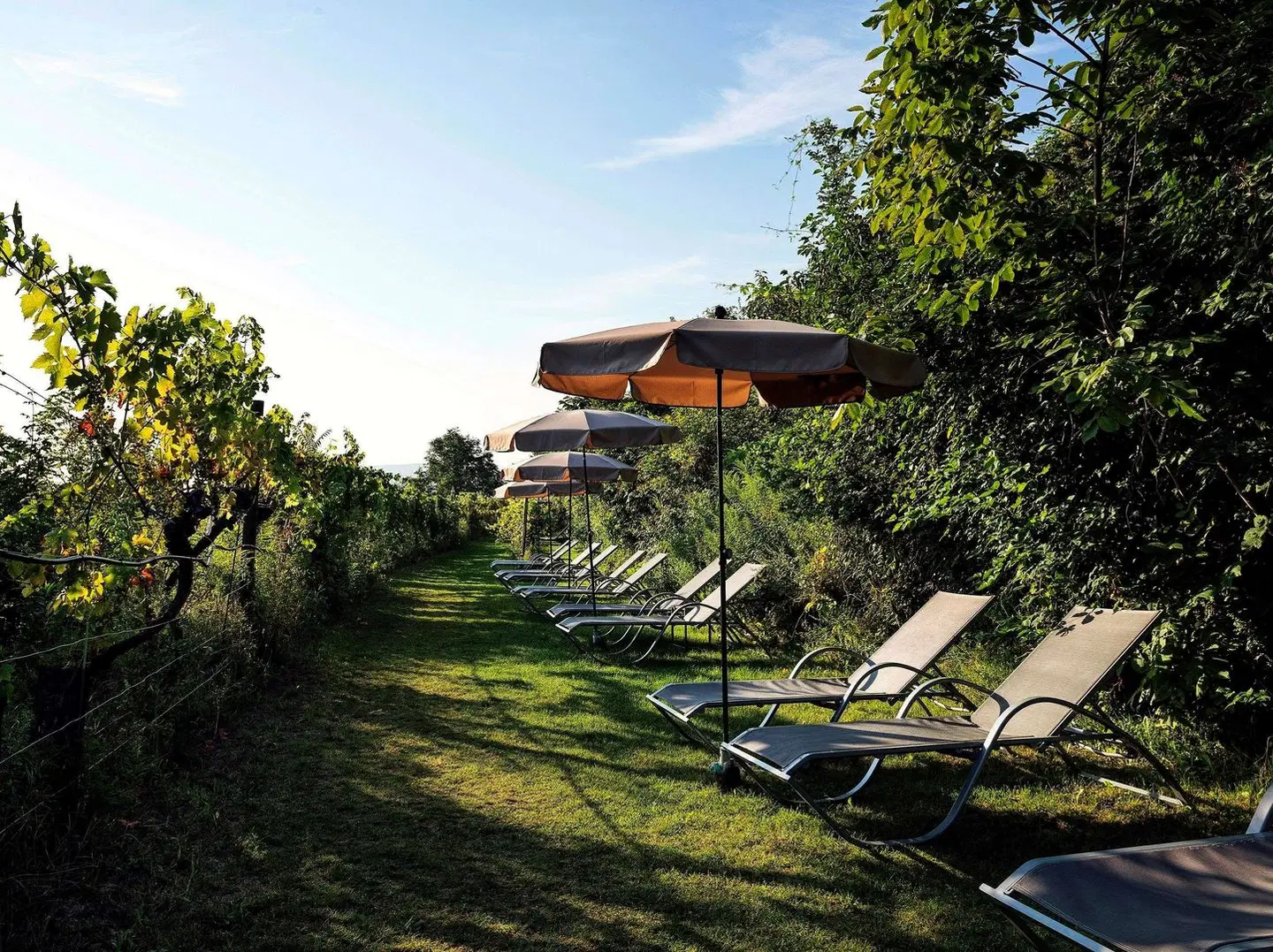 Steigenberger Hotel & Spa Krems EXTERIOR