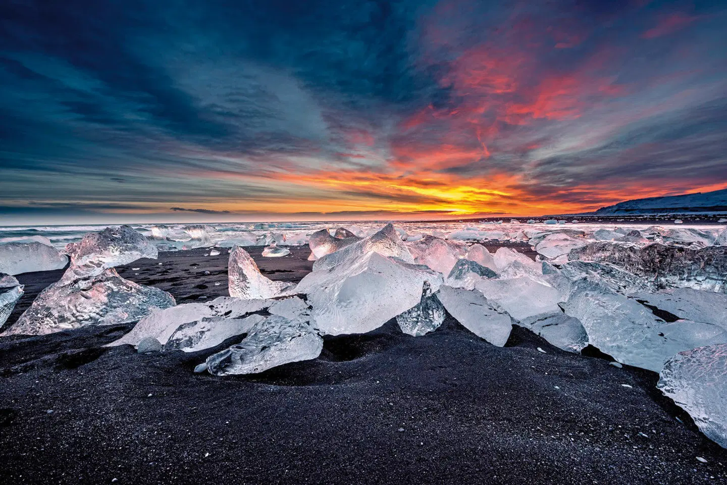 Rund um Island - Ringstraße und Snæfellsnes Tiere