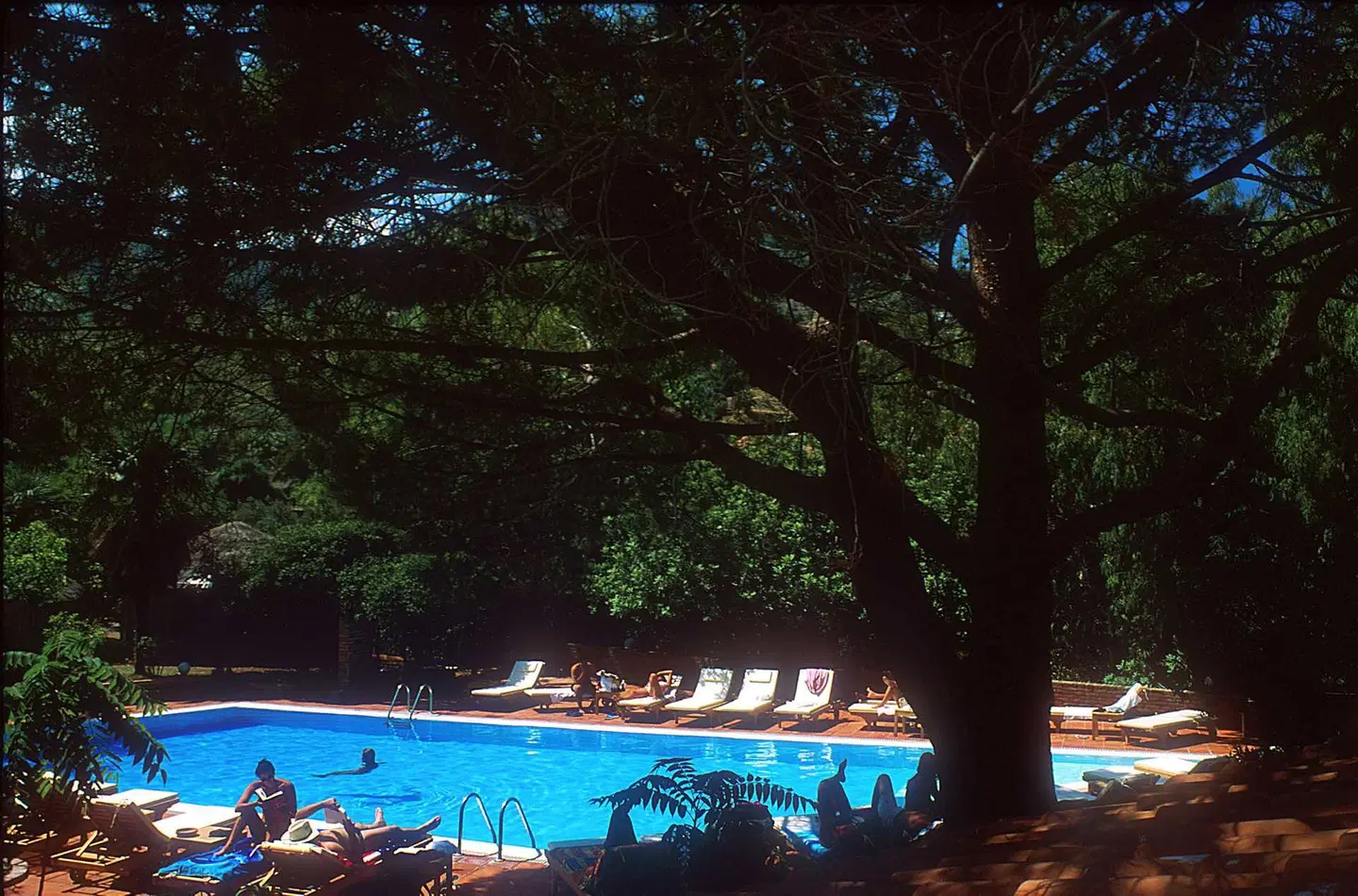 Alberi del Paradiso OUTDOOR_POOL