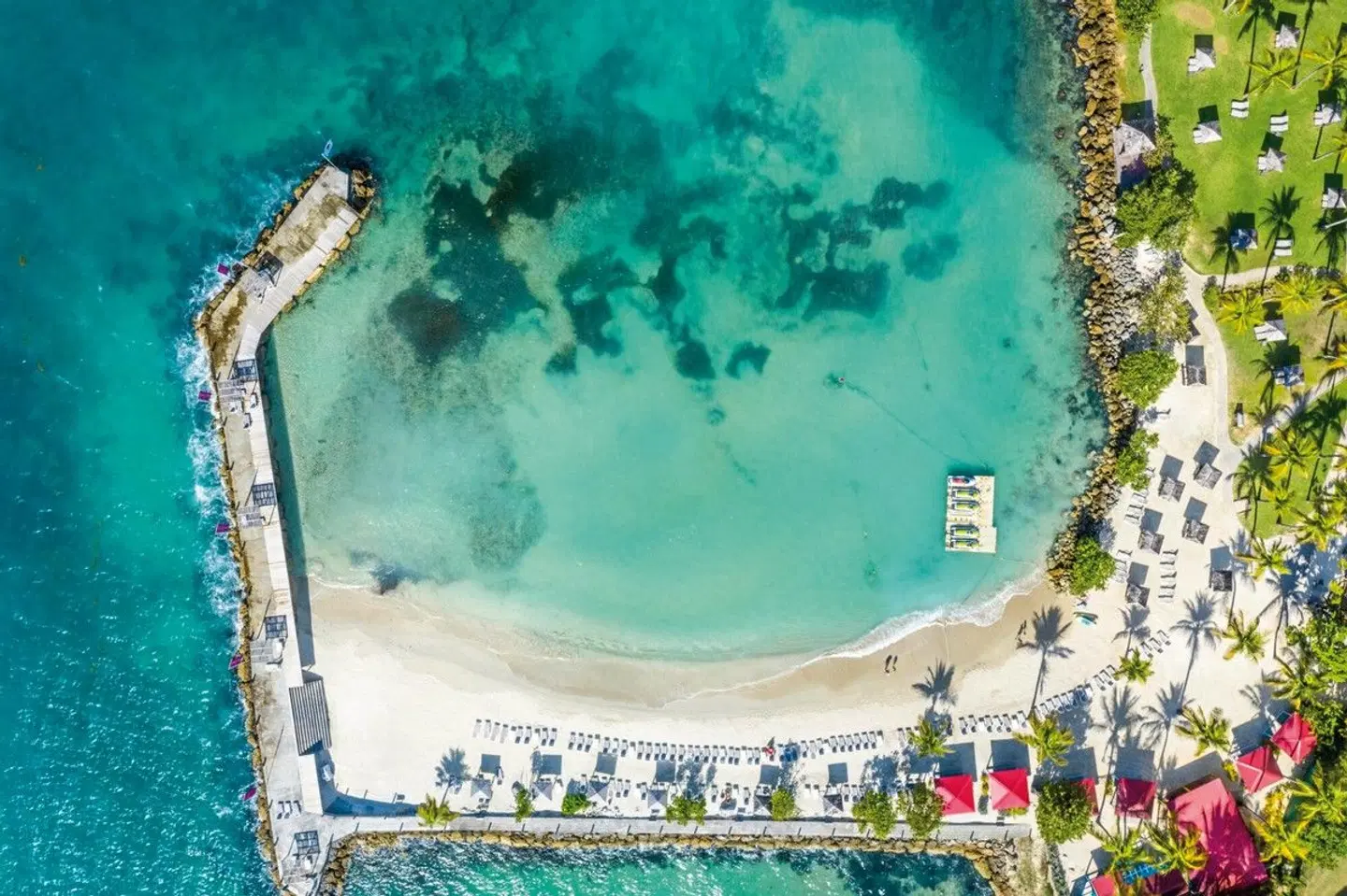 La Créole Beach Hôtel & Spa Tiere