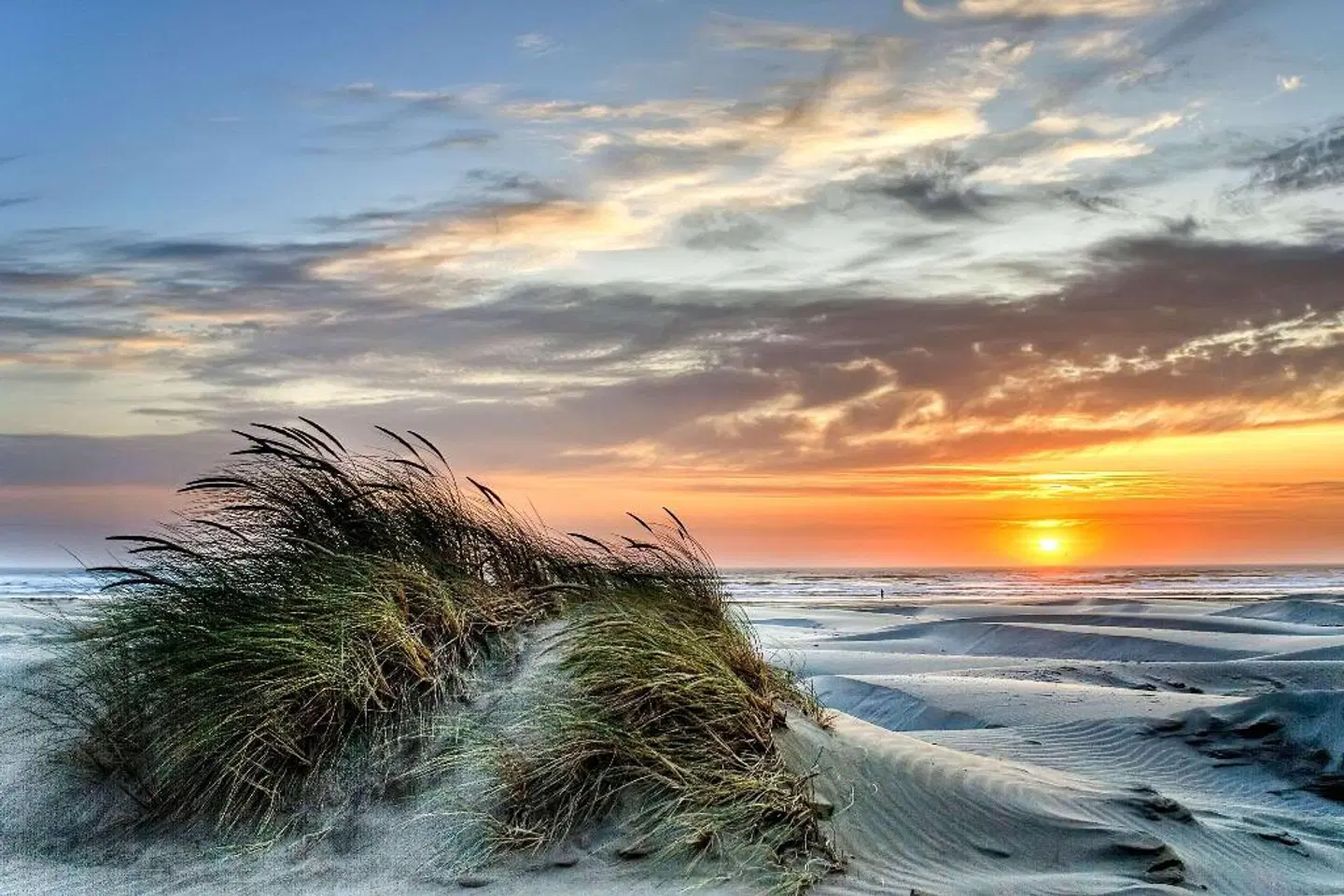 Elizabeth Street Inn LANDSCAPE