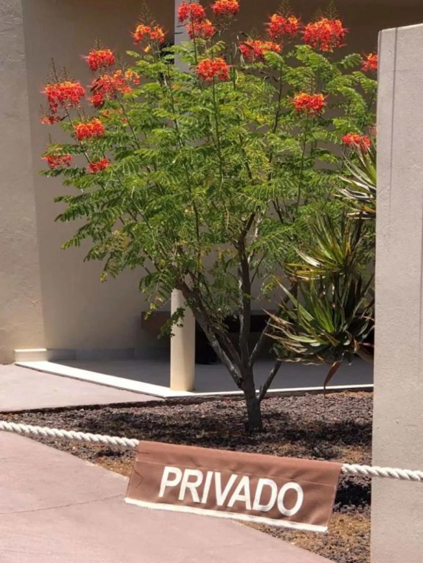 Hotel Fuerte Village Suites Terrasse